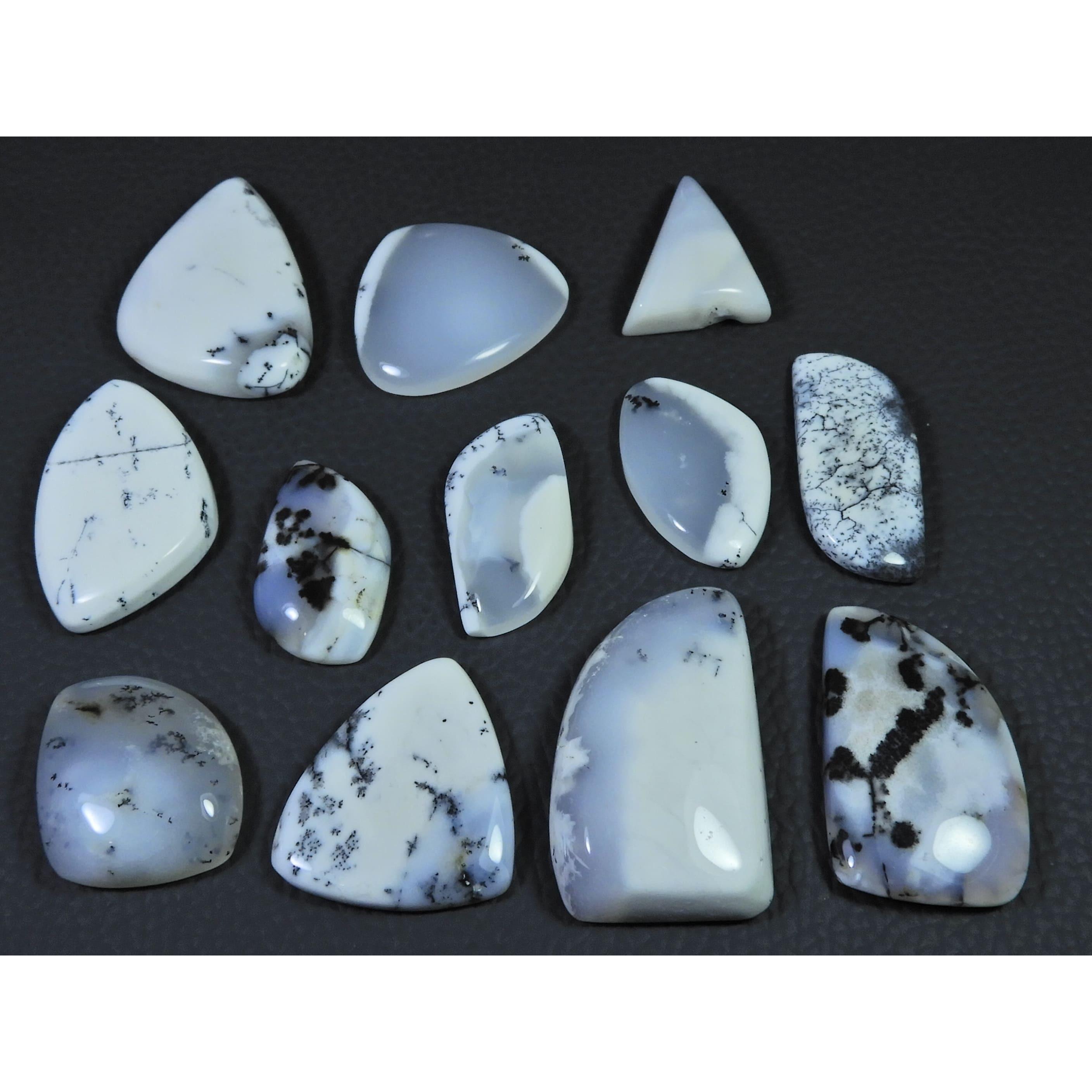 

12Pcs Natural Dendrite Opal Fancy Shape Cabochon Loose Gemstone Lot 298cts. C-584