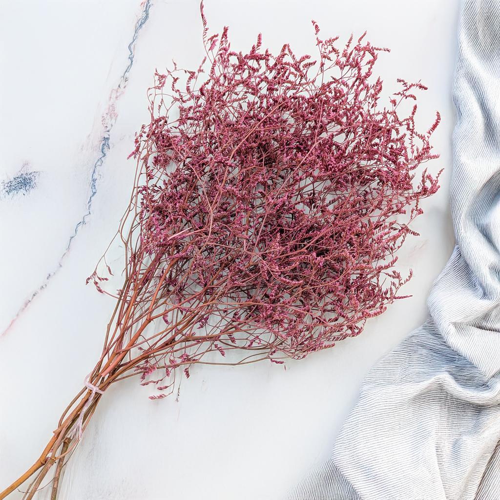 Zatrwian Szerokolistny Essiccato - Limonium Latifolium - Colorato - Rosa