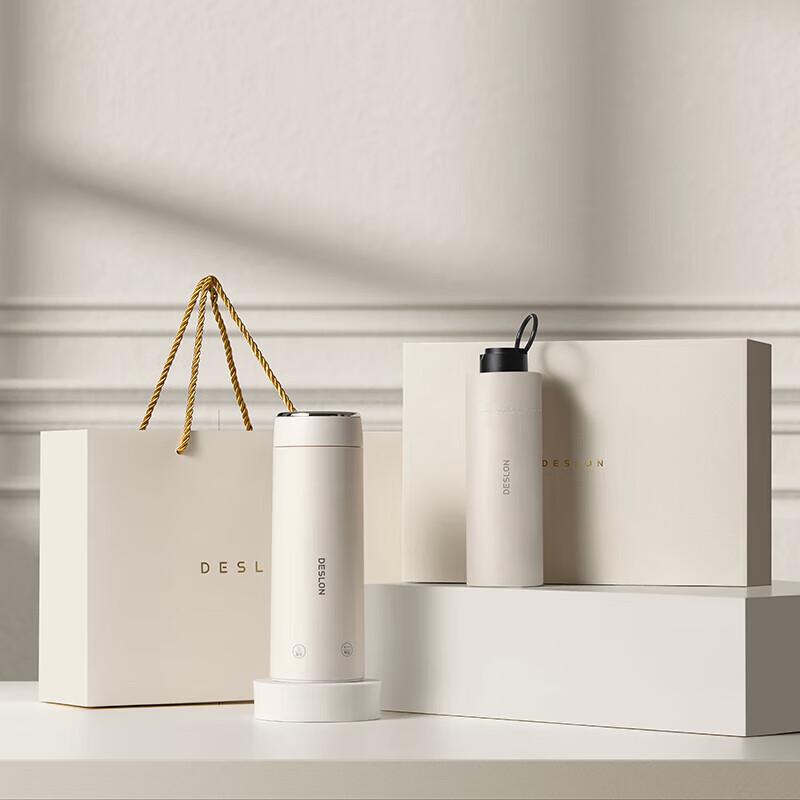 Deslang Electric Hot Water Cup