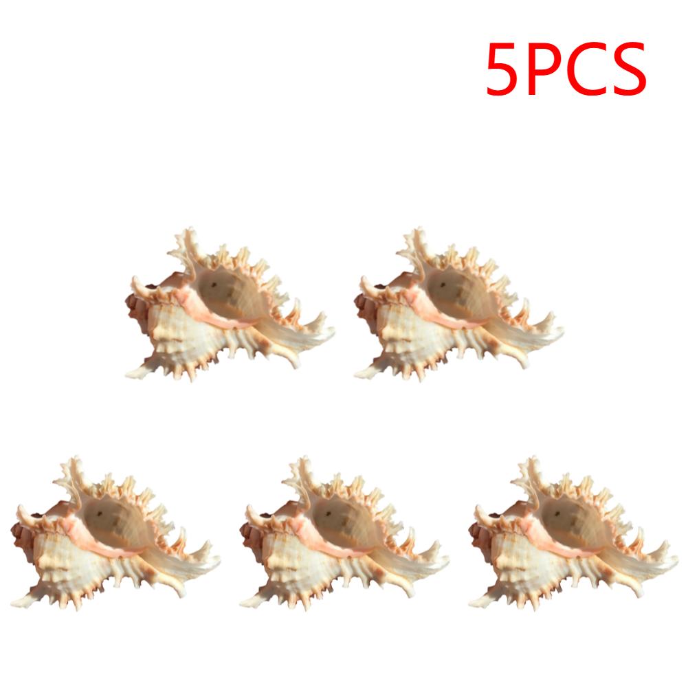 2/3/5PCS Sea Shell Plant Pot 4.7 Inch Natural Conch Air Plant Holder Seashell Decor Planter Flower Container Art Craft for Home