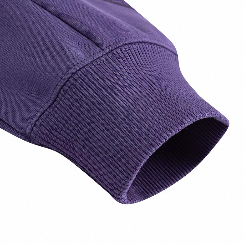 ANTA Sweatshirts Men's Baby Purple Hooded Non Detachable Moderate 172641712S-3