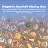 Magnetic Seashell Storage Box Transparent Acrylic Display Case for Starfish Conch Trinket Small Craft Organizers