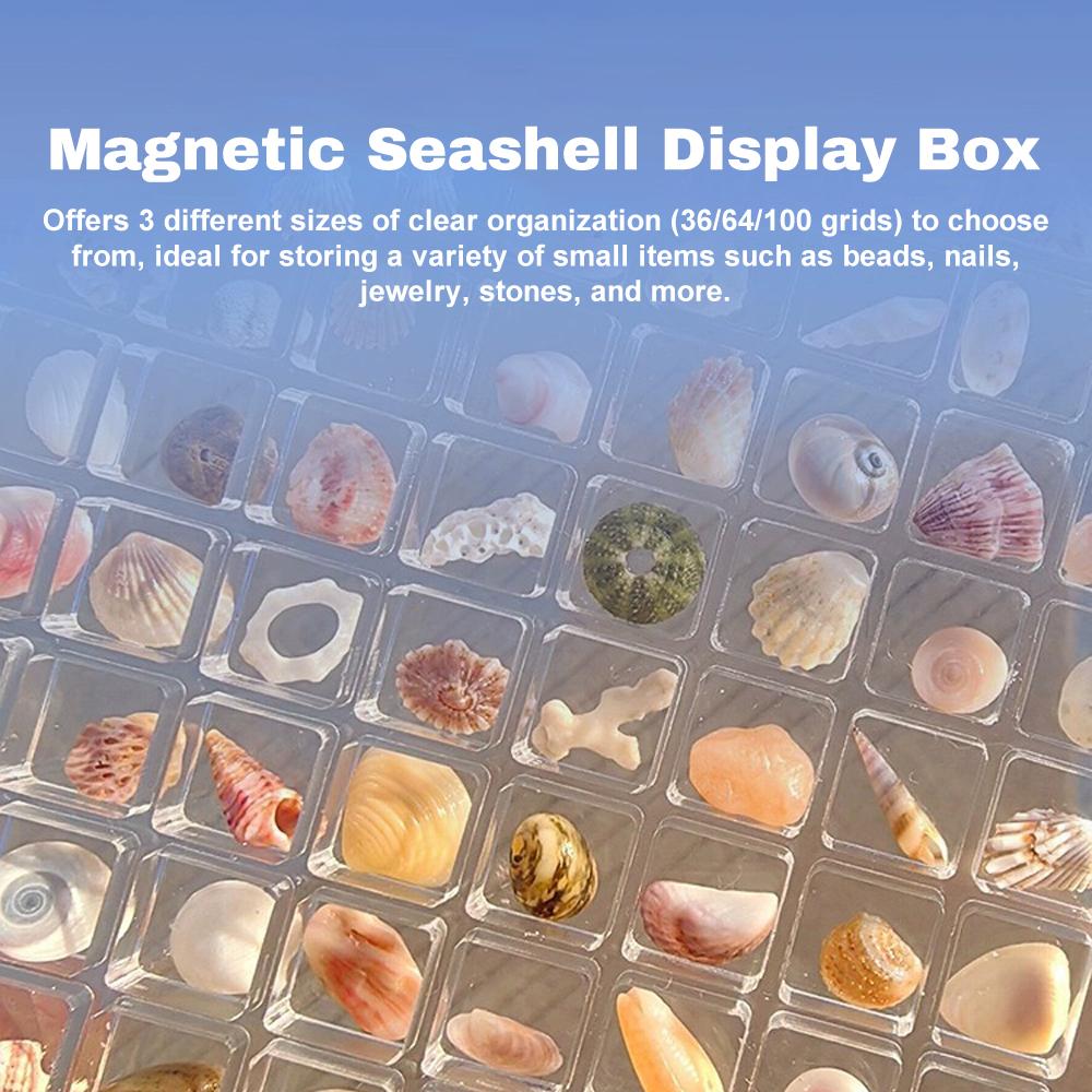 Magnetic Seashell Storage Box Transparent Acrylic Display Case for Starfish Conch Trinket Small Craft Organizers