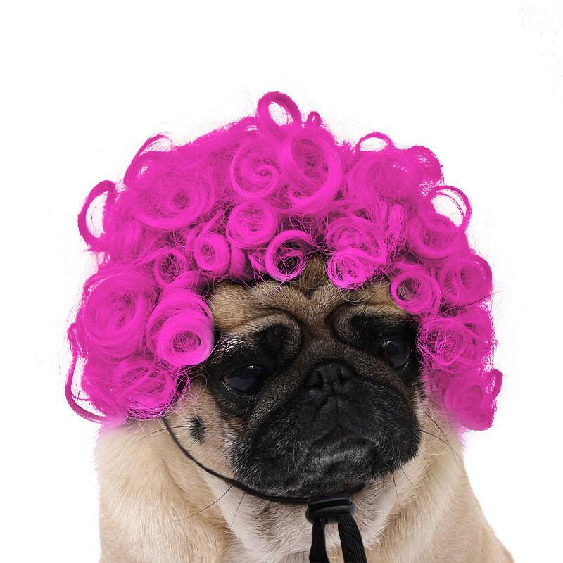 Are 10 Here Suggested Titles For The Pet Wig Product Based On The Information Provided