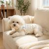 Cute Puppy Short Shirt Cartoon Print Pet T-shirt Casual Pet Sleeveless Pullover  Outdoor Activities