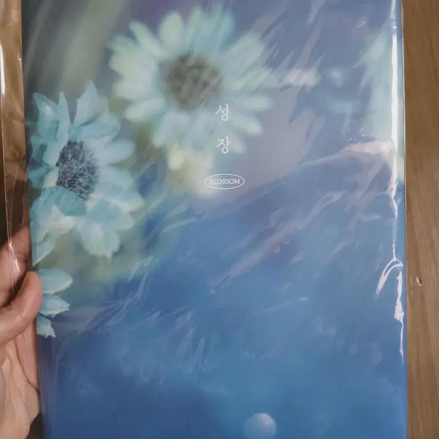 

Экзо До. Набор мини-постеров с ростовыми фигурами До Кёнсу