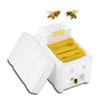 Queen Bee Rearing Mating Beehive Beekeeping Tool Foam Pollination Box Bee Breeding Foam Box For Bees Equipment