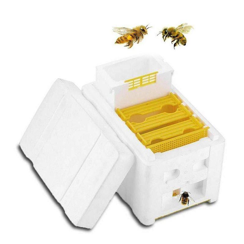 Queen Bee Rearing Mating Beehive Beekeeping Tool Foam Pollination Box Bee Breeding Foam Box For Bees Equipment