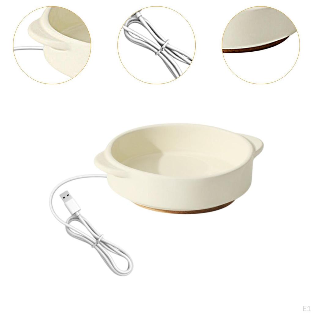 Pet Heated Bowl Ceramic Waterer Elevated Cat Dog Feeding for Winter