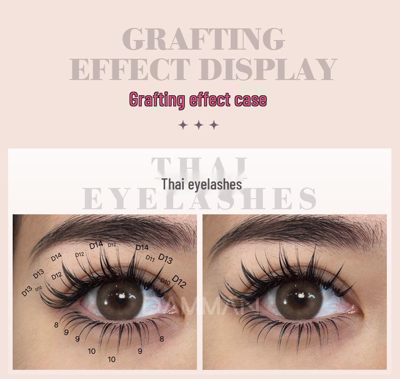 Thai Manga 0.05 Camellia INS Style Blooming Eyelashes - Durable, Non-Dispersing, Single or Multi Pick