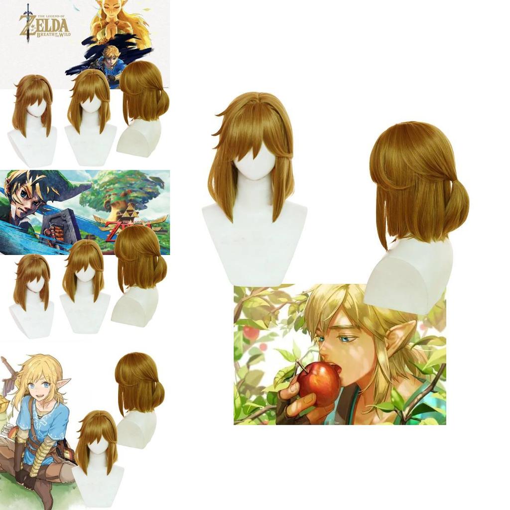 Breath Of The Wild Link Cosplay Wig With Realistic Scalp