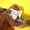 Electronic Interactive Flying Bird Cat Toy Hanging Pet Flapping Wings Sparrow