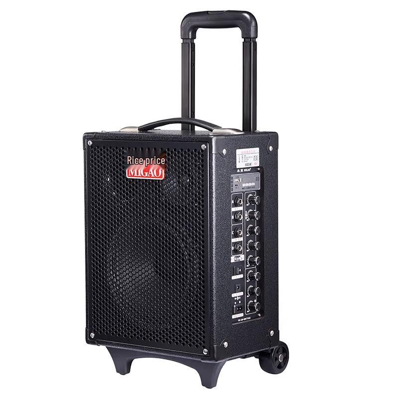 Migaol MG820A-LI Portable Rechargeable Instrument & Karaoke Speaker CN plug (adapter included)