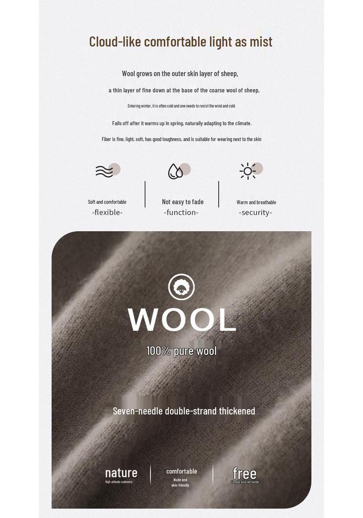 New Arrival: Women's V-Neck Raglan Sleeve Solid Long Knit Sweater - Loose, Cozy Wool Base Layer for Autumn/Winter