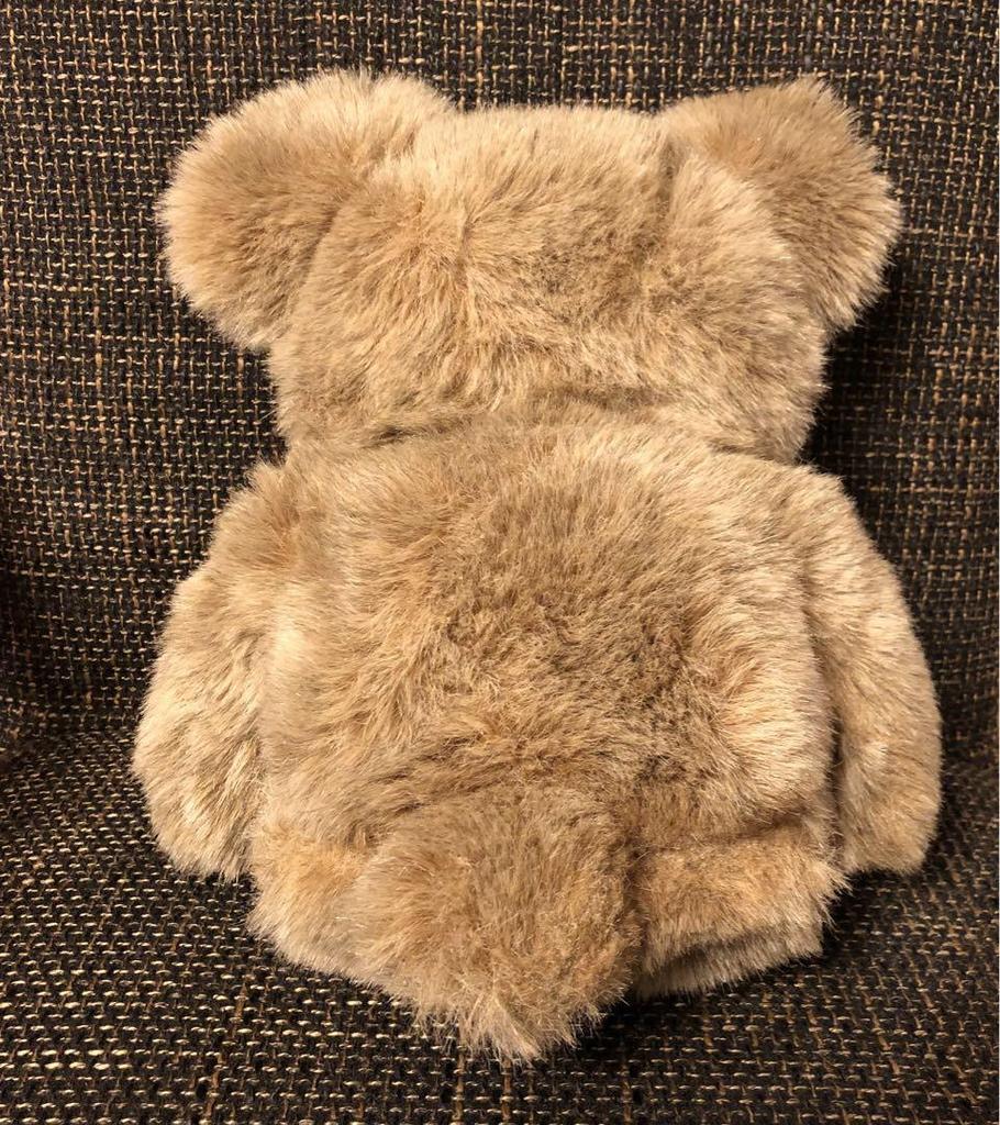 [USED] First Plush Retro Teddy Bear