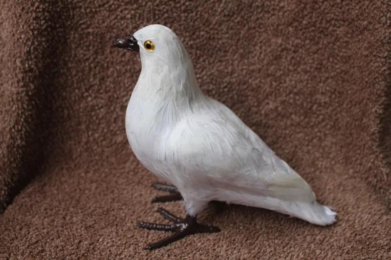

Artificial Pigeon Animal Home Decoration Teaching Props High Quality Simulation Doves Children Gift Toy Simulation Doves