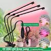 1200LM Luminous Flux Clip-On LED Grow Light with Gooseneck 1/2/3/4-Head Growing Lamp Kit 5V USB Powered Timer & Dimmable, for Greenhouse Hydroponics