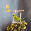 Suction Cup Bird Perch Suspended Parrot Training Rack Platform Parakeet Swing Toy  Window