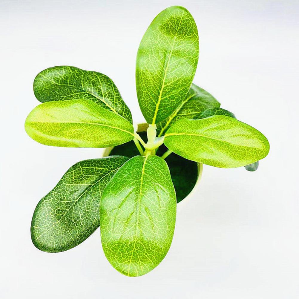 

Decorative Faux Green Plant in Pot for Busy Individuals and Professionals A