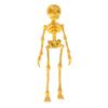 3D-gedruckte Skelettfigur Magnetischer Kühlschrankmagnet Spielzeug Heimdekoration Modell mit beweglichen Gelenken zum Ausstellen und Sammeln