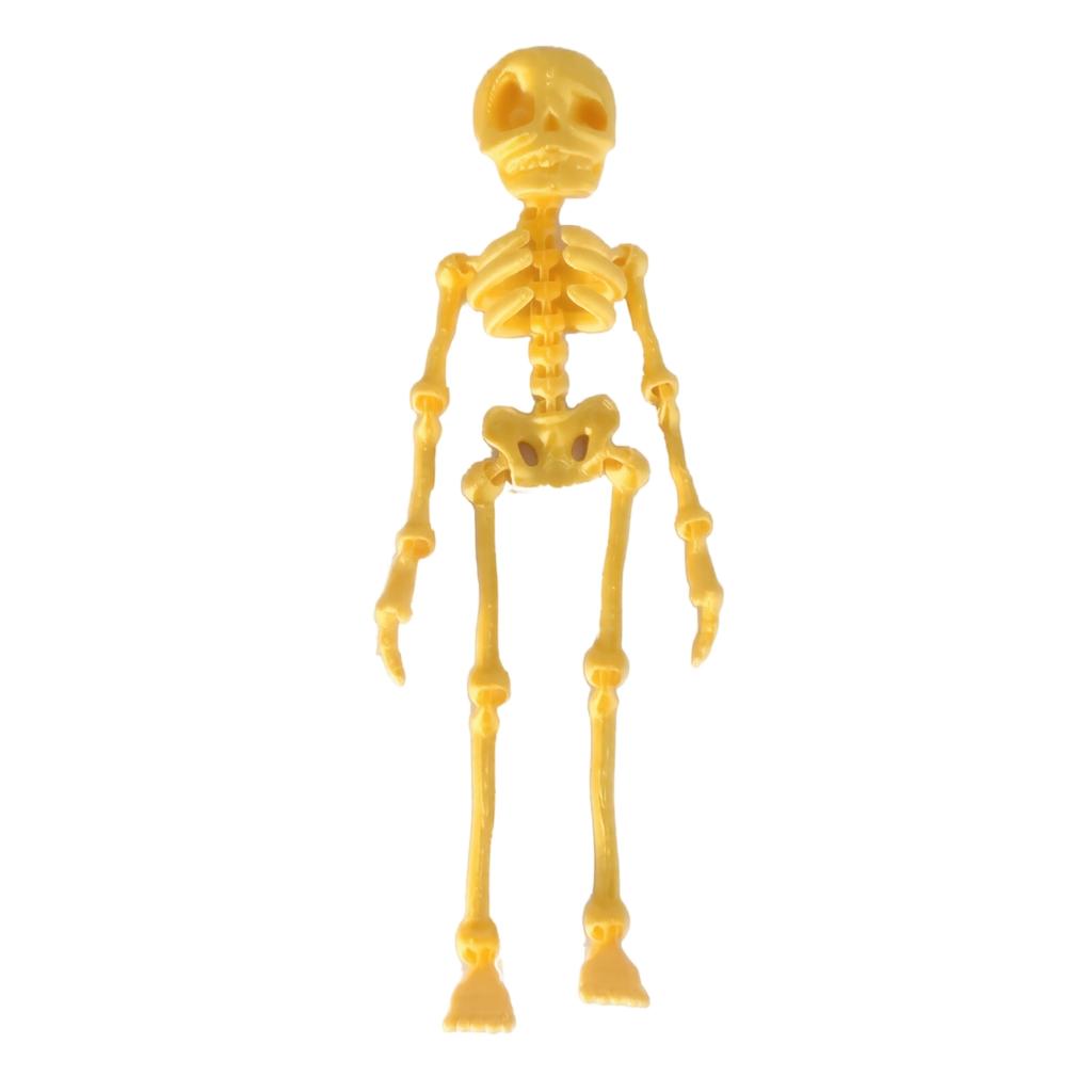 3D-gedruckte Skelettfigur Magnetischer Kühlschrankmagnet Spielzeug Heimdekoration Modell mit beweglichen Gelenken zum Ausstellen und Sammeln