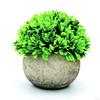 Artificial s PU Material Potted Ornament Housewarming Gifts Craft Bonsai Small for Garden Desktop