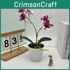 Two Realistic Branches Butterfly Orchid Green Plant Bonsai For Indoor Decor