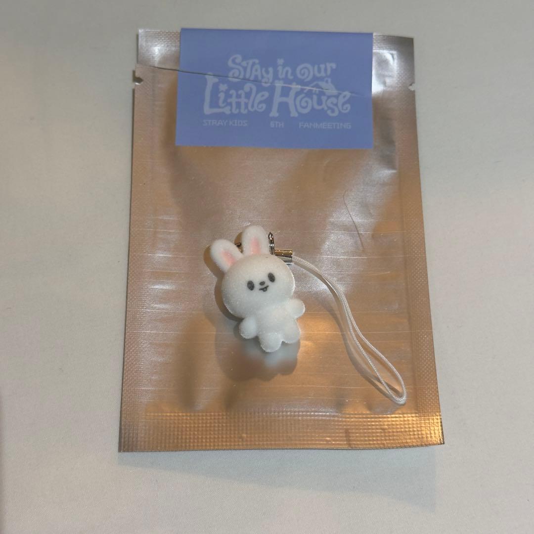 [USED] Sugizu 6th Fan Meeting Secret Mini Charm Flock Strap - Lee Bit Lee Know