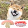 Haustier CorgiHund Falsches Gebiss Spielzeug Kaninchen Frontzahn Abdeckung Lustige Welpen Gebisse Haustier Dekoration Cosplay Halloween Kostüm