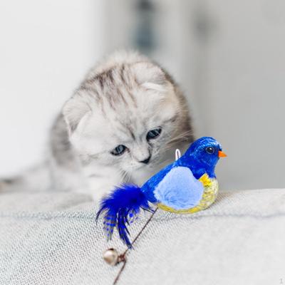 Katten – Speelgoed voor katten
