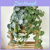 Green Leaf Wall Hanging With Soft Gel Material For Home Decor And Photography Props