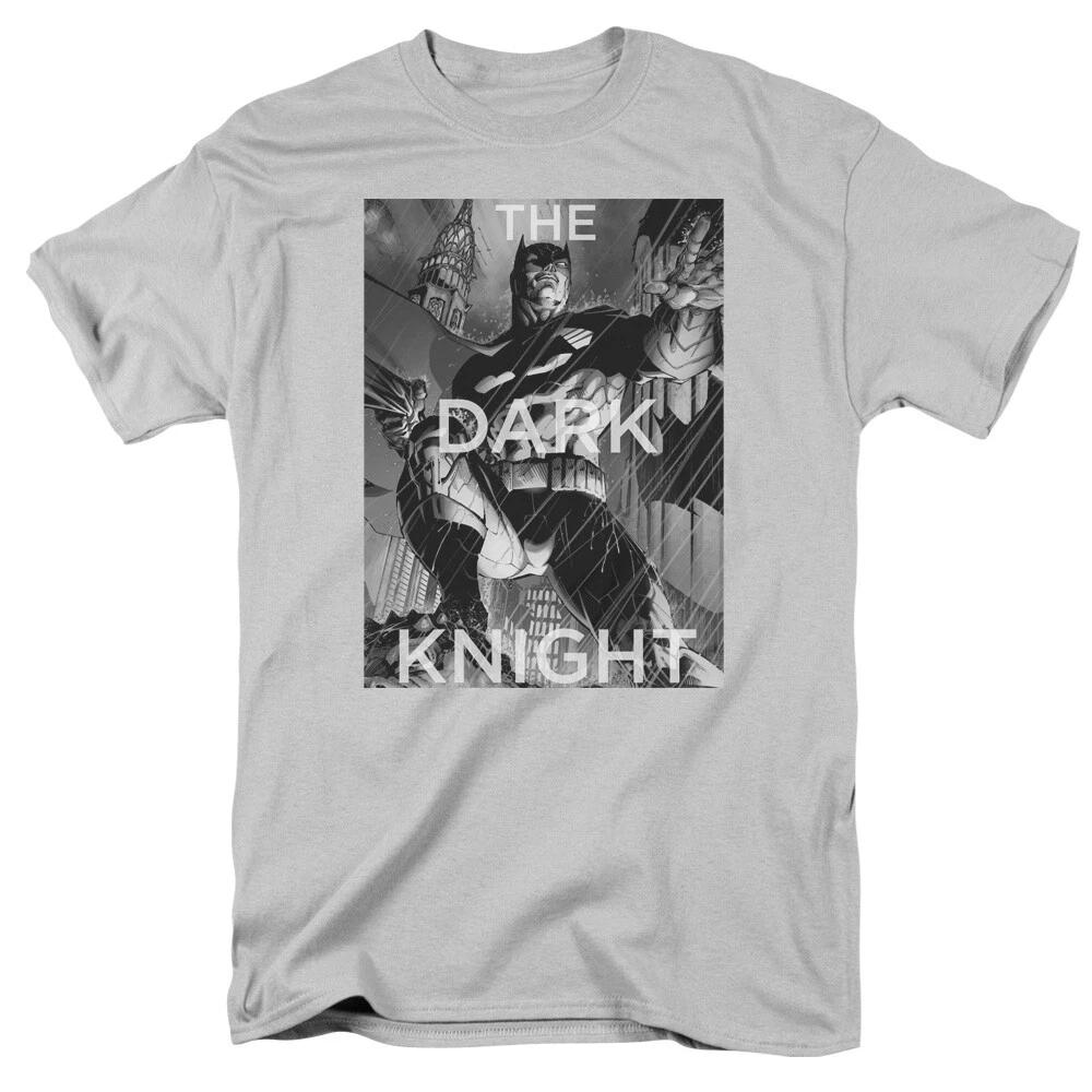 Batman  Fighting The Storm  T-Shirt L