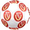 Energie Cottbus logo size5 Soccer Ball, colorful, suitable for all ages, machine-stitched, PVC material, competition grade,durable and high bounce
