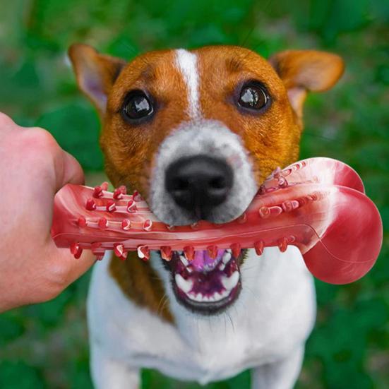 Přírodní kaučuková žvýkací hračka pro psy Kost pro dentální hygienu s hovězí příchutí Úleva při prořezávání zubů Bezpečná hračka pro psy velkých plemen