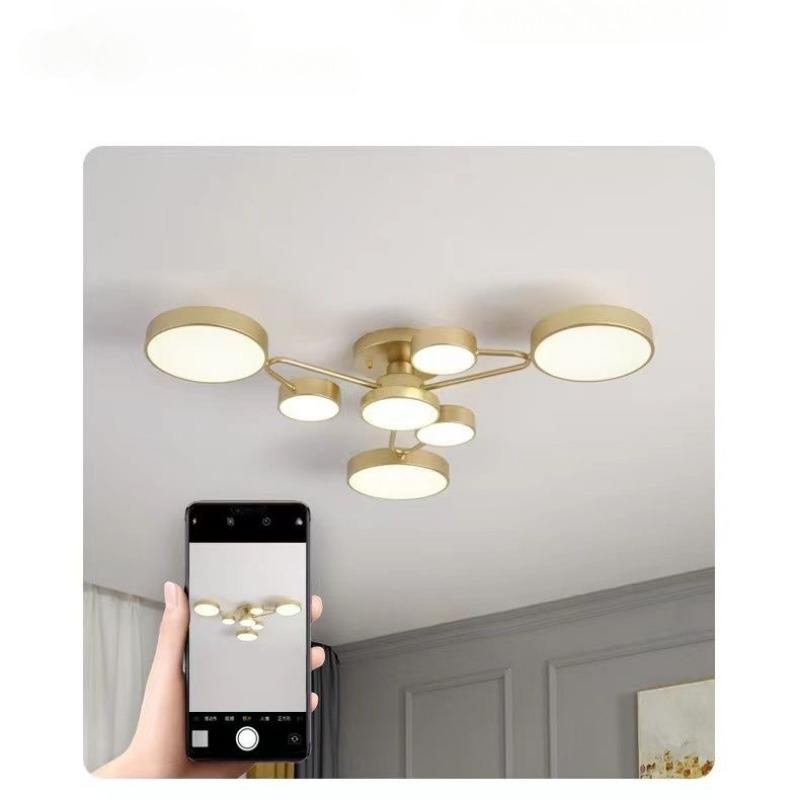 Living Room Lights, Ceiling Lights, Creative and Personalized Dining Room Lights, Modern and Simple Bedroom Chandeliers