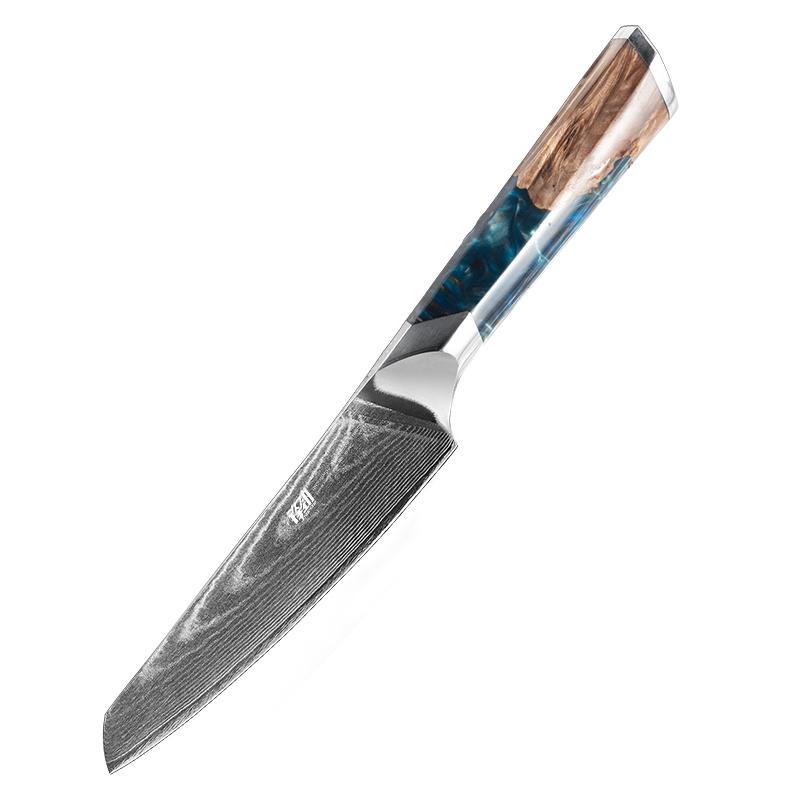 FINDKING 1pc Paring Knife 5 Inch Sharp Fruit Utility Knife, 10Cr15Mov 67 Layers Damascus Steel Knife For Carving And Peeling