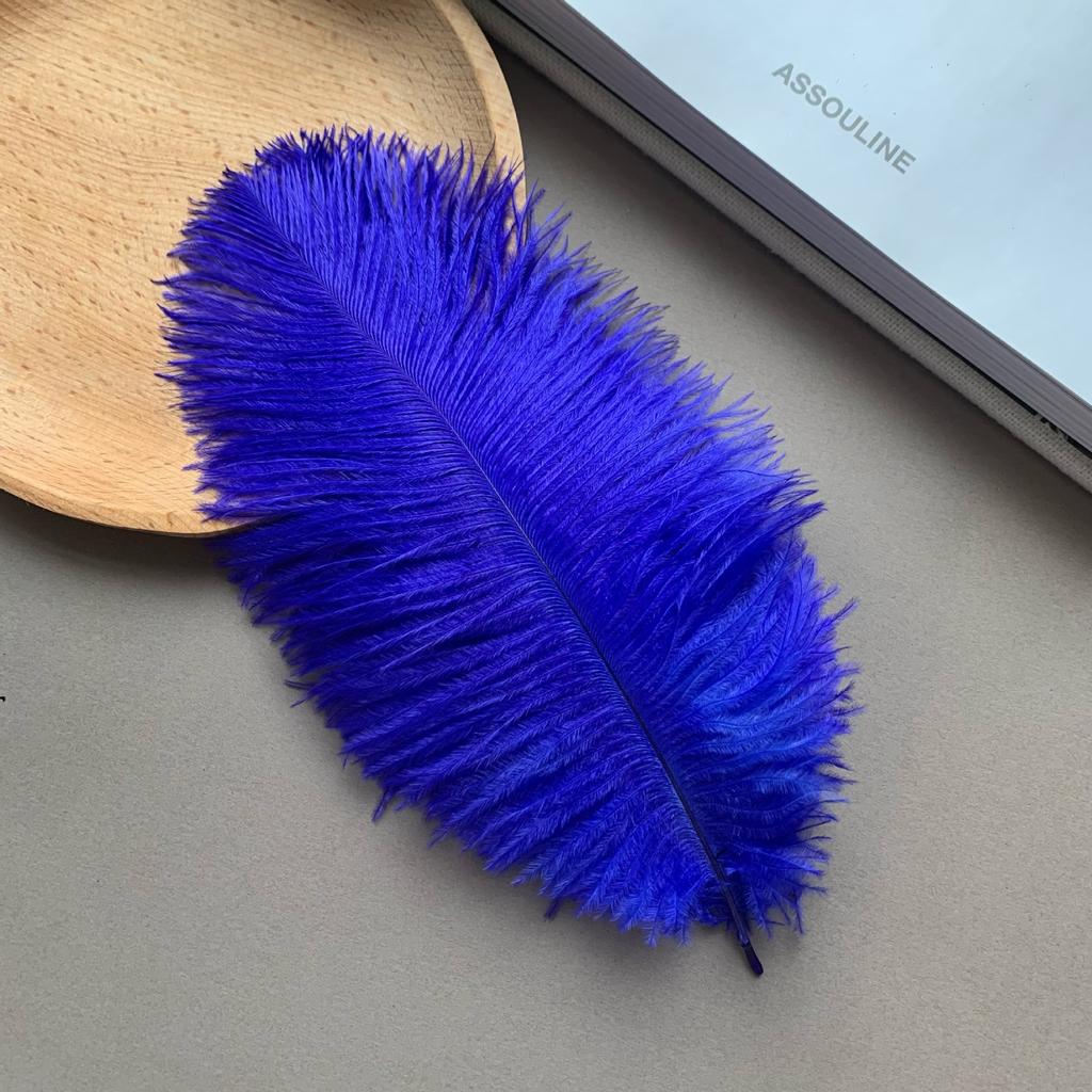 Color ostrich hair 15-20CM ostrich feather Internet celebrity photo background wall feather cake flower arrangement DIY decoration