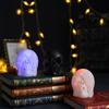 Halloween Skull LED Night Light Set - 3pcs Blind Deaf Mute Decor Party Home Office Decoration