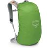 Рюкзак Osprey Hikelite 18 pine leaf green (10004807)