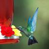 30 Sets Hummingbird Feeder Replacement Flowers, Realistic Designed Hummingbird Flowers, Plastic Hummingbird Feeder Parts, Bee Proof Hummingbird