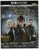 Animais Fantásticos: Os Crimes de Grindelwald (Conjunto 4K ULTRA HD & Blu-ray) (Conjunto de 2 Discos) [4K ULTRA HD + Blu-ray]
