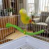 Plastic Swing Perch Toy Spring Wobble Bird Chewing Stand Parrot Play Rack  for Bird Cage Aviary