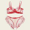 European-American Sexy Lace Mesh Bikini Lingerie Set with Embroidery