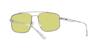 Sunglasses EA2139 MATTE SILVER Lens 57 [Emporio Armani] Frame/GREEN