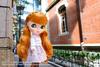 Neo Blythe Shop Limited Lumidemitria