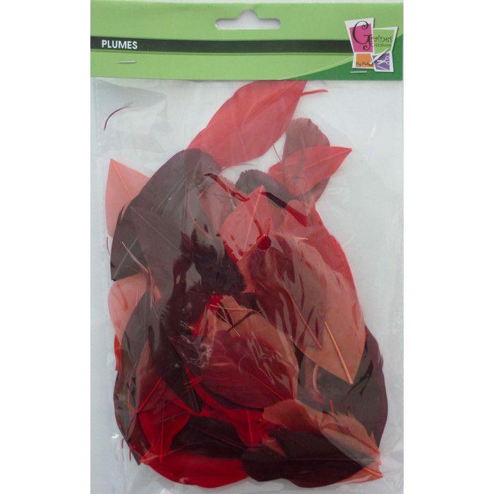 Cut Goose Feathers - Red Camaïeu - 10g Bag - Length 6 Cm