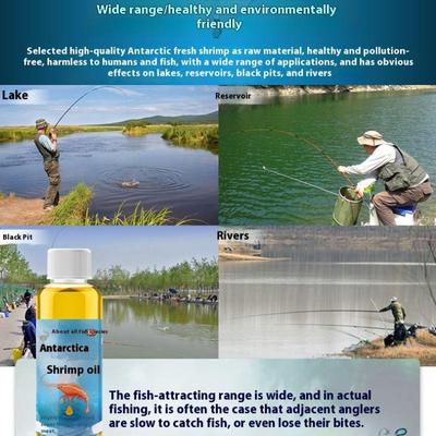 Antarktyczny Kryl Aromat Oleju Krewetkowego Aromat Wędkarski Dół Wędkarski Karpiowaty Atraktant Karpiowy Pasza Wysokobiałkowa Atraktant Wędkarski Wino