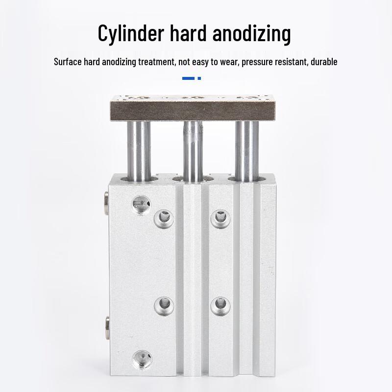Pulinle TCM Guided Rod Cylinder