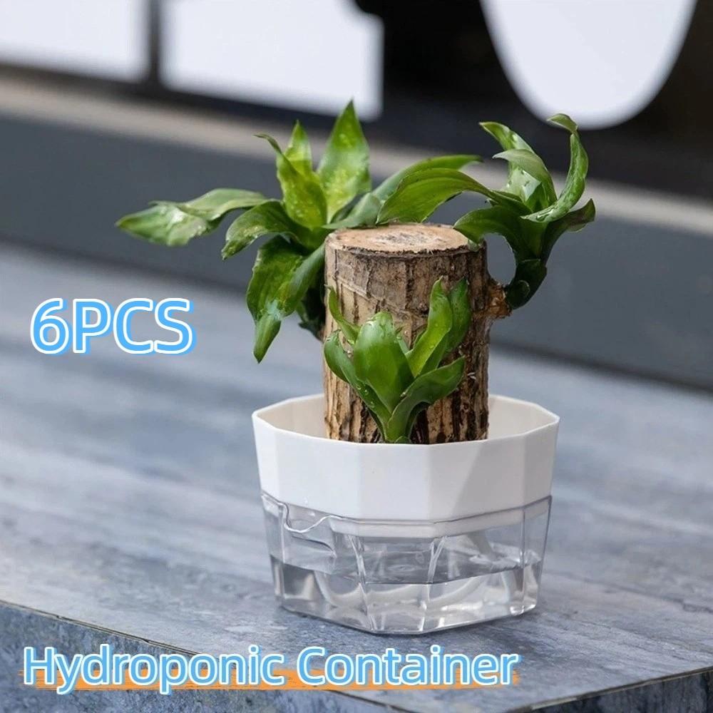 6PCS Root Visibility Hydroponic Container Eco-Friendly Plastic Butterfly Orchid Flowerpot Water Storage Lazy Flowerpot Office