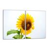 Glas-Kochfeld-Schutzplatte 2x40x52 Blume